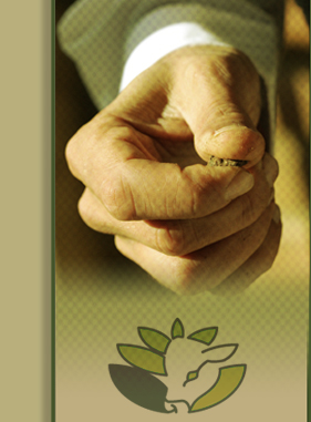 Vous �tes sur le site du Cabinet d'expertise en rations m�lang�es