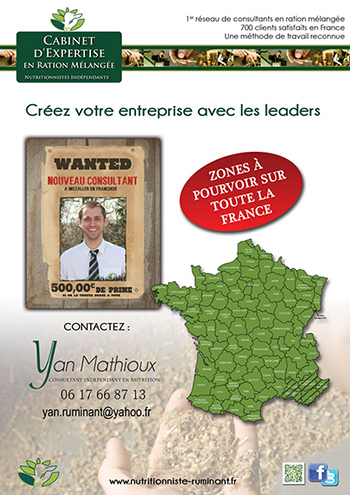 BDM recrute, cliquez ici pour postuler